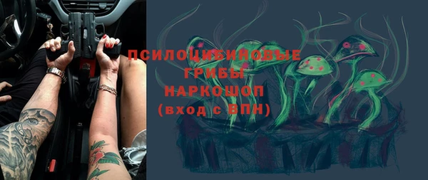 дживик Белокуриха