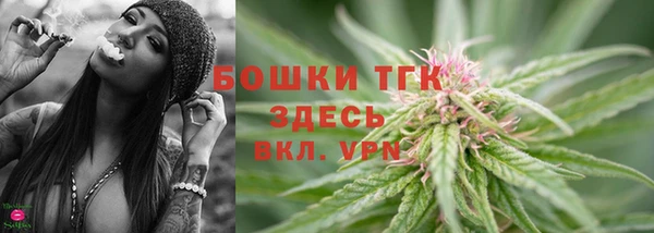 дживик Белокуриха