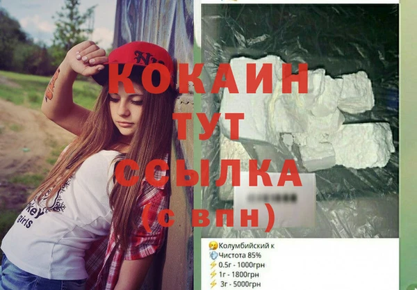 дживик Белокуриха