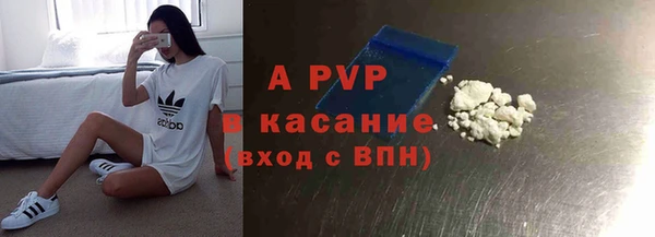 дживик Белокуриха