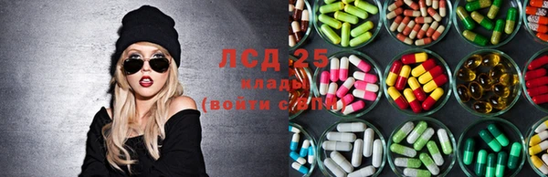 дживик Белокуриха