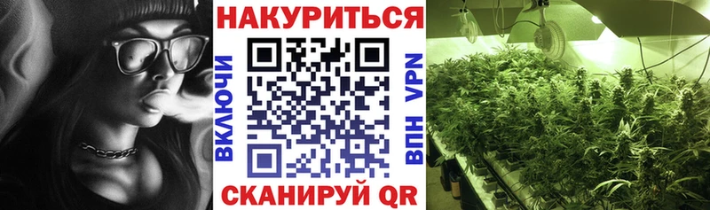 shop формула  Няндома  МАРИХУАНА Amnesia 